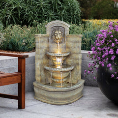 Design Toscano Saint Remy Lion Corner Fountain - DW73048