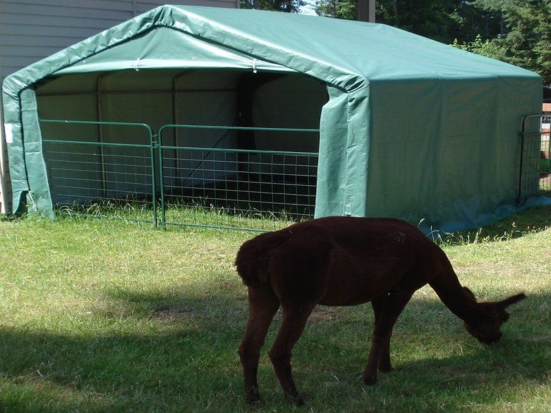 Rhino Shelter Livestock Shelter (Animal Run-In) 12’W X 12’L X 8’H – LV121208H