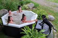 Canadian Spa Company Muskoka 5-Person 14-Jet Portable Hot Tub - KH-10096