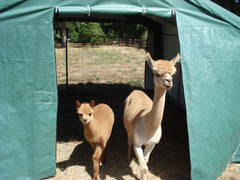 Rhino Shelter Livestock Shelter (Animal Run-In) 12’W x 20’L x 8’H – LV122008H